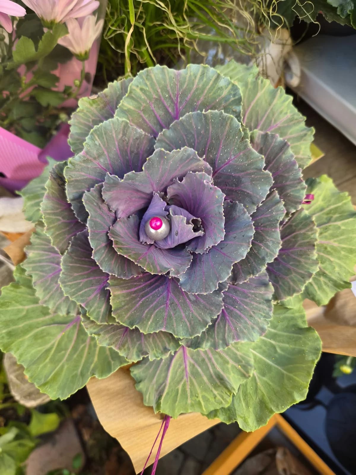 Gartenmotiv 15: Mehr aus dem Laden