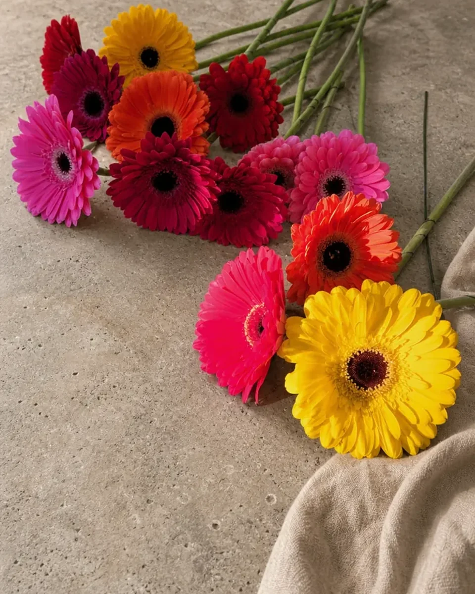 Frisch gebunden — Pusteblume Halle (Saale)